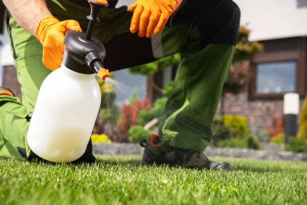 Best Pest Control Near Me  in Sierra Ridge, CO