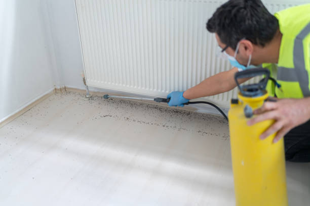Best Bed Bug Extermination  in Sierra Ridge, CO